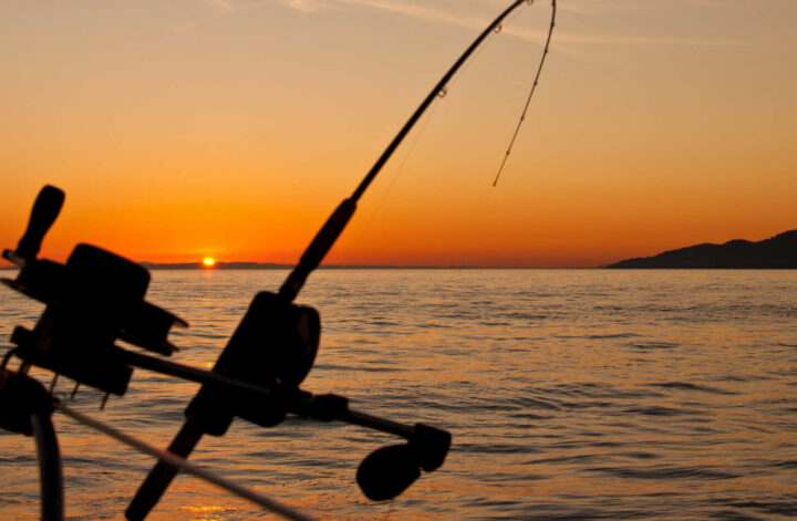 fiskespö i solnedgång